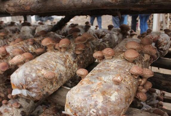 QQ截圖20210615152049.jpg QQ截圖20210615152049.jpg